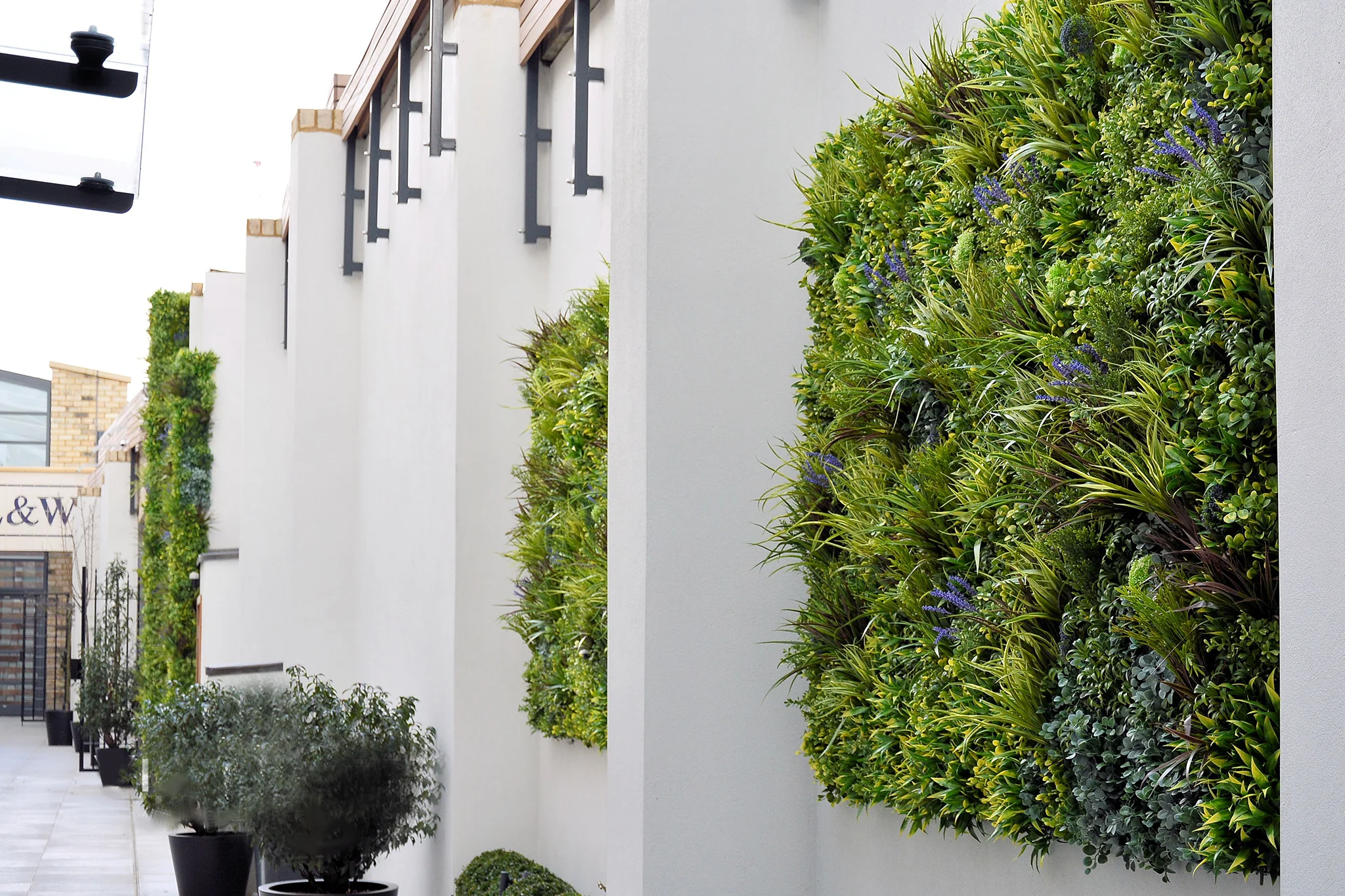 Residential Green Wall Solution
