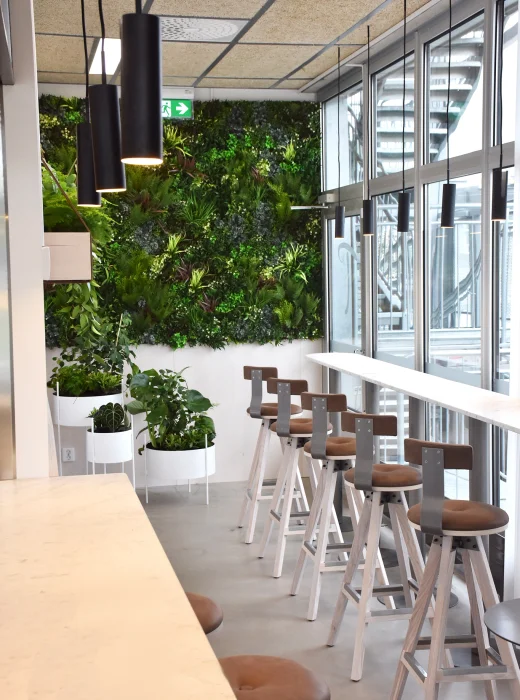Green wall solution to for restaurant design and commercial spaces