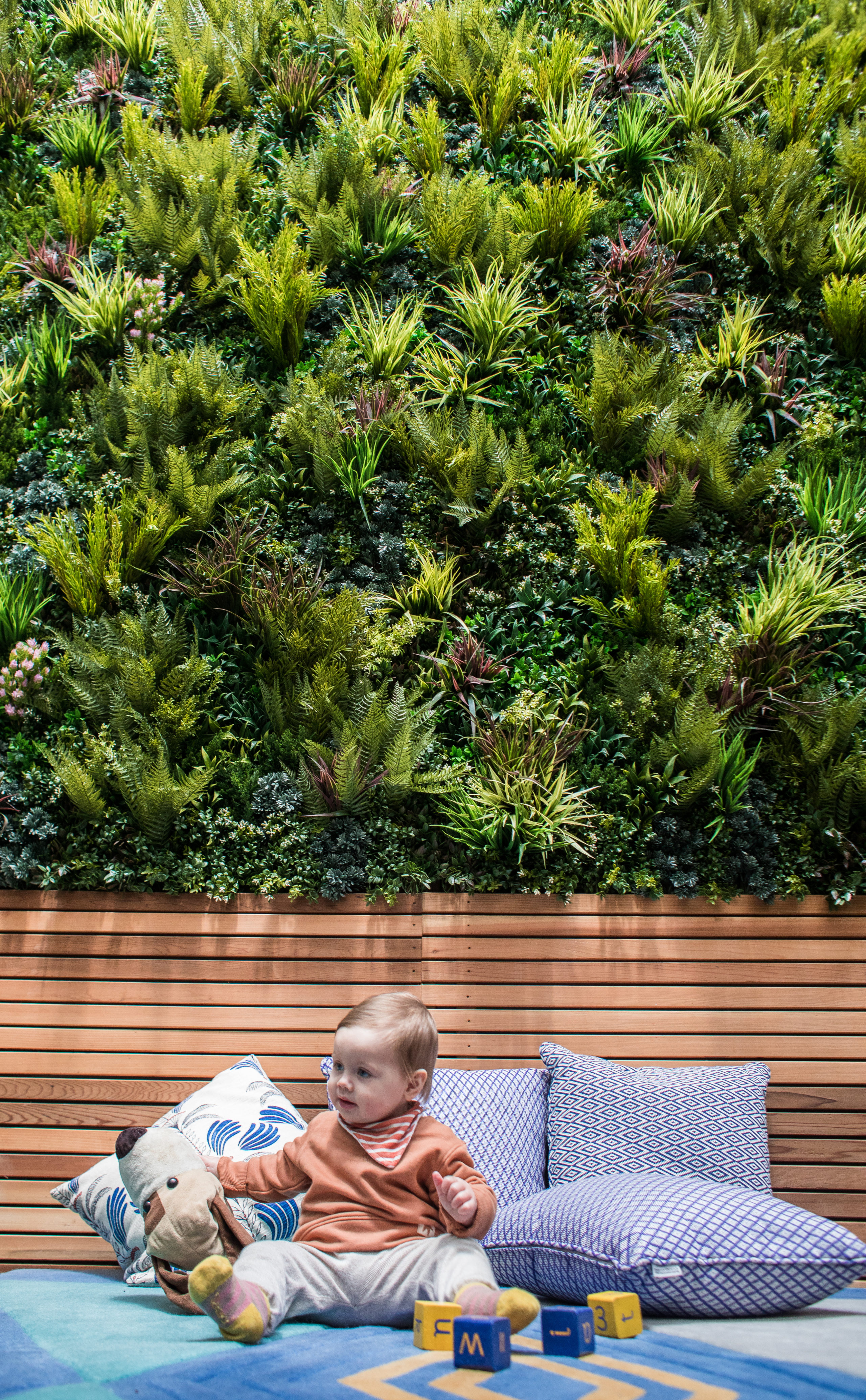 Residential Backyard in front of Vertical Garden and baby playing with toys in front of pillows. 