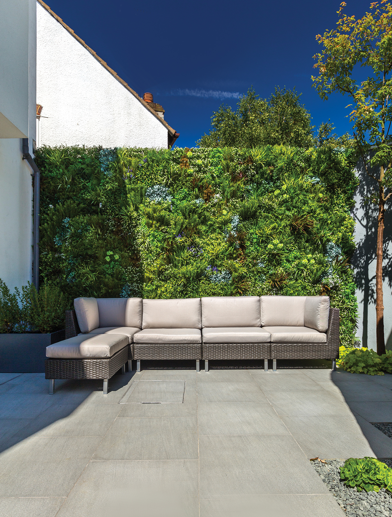 Backyard with sound buffering artificial vertical garden to create privacy and acoustic buffering solution 